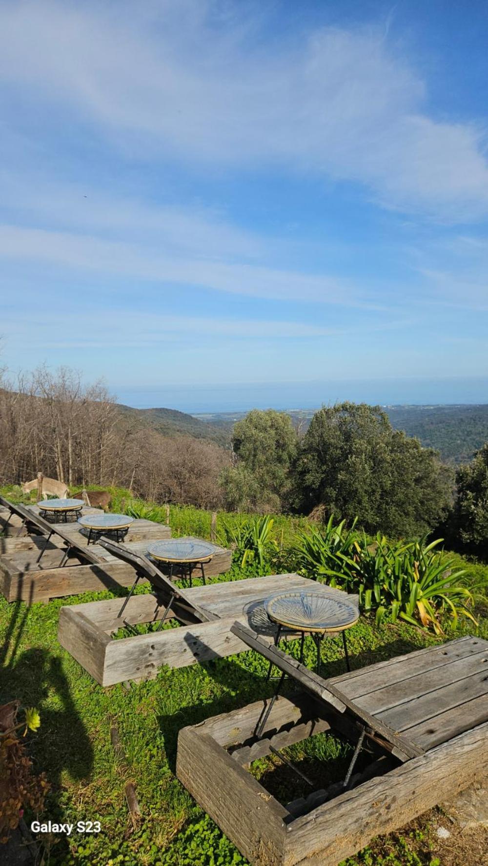 Domaine Colonna Santini ,Chambre D Hotes Piscine, Sauna, Spa Porri ภายนอก รูปภาพ