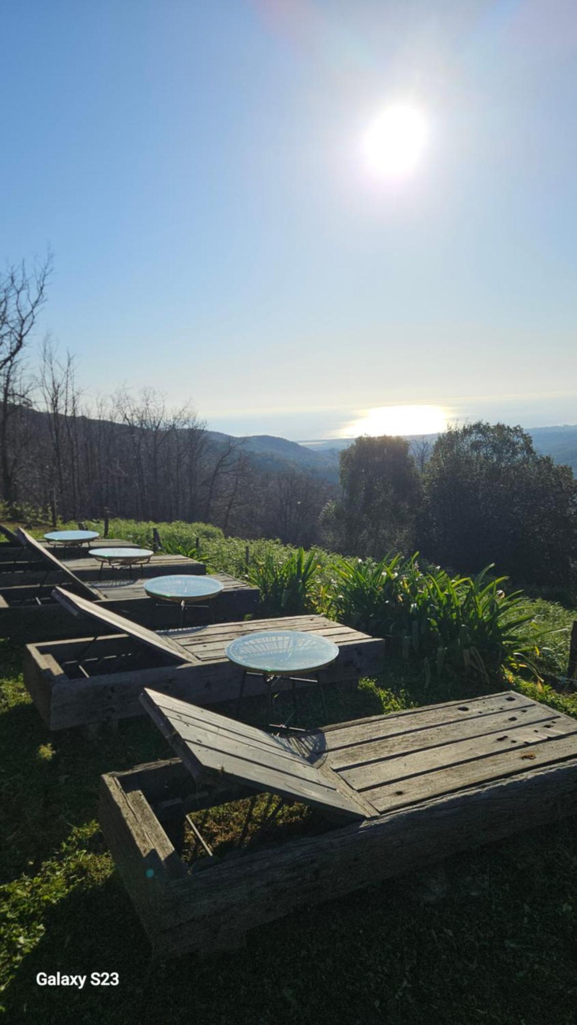 Domaine Colonna Santini ,Chambre D Hotes Piscine, Sauna, Spa Porri ภายนอก รูปภาพ