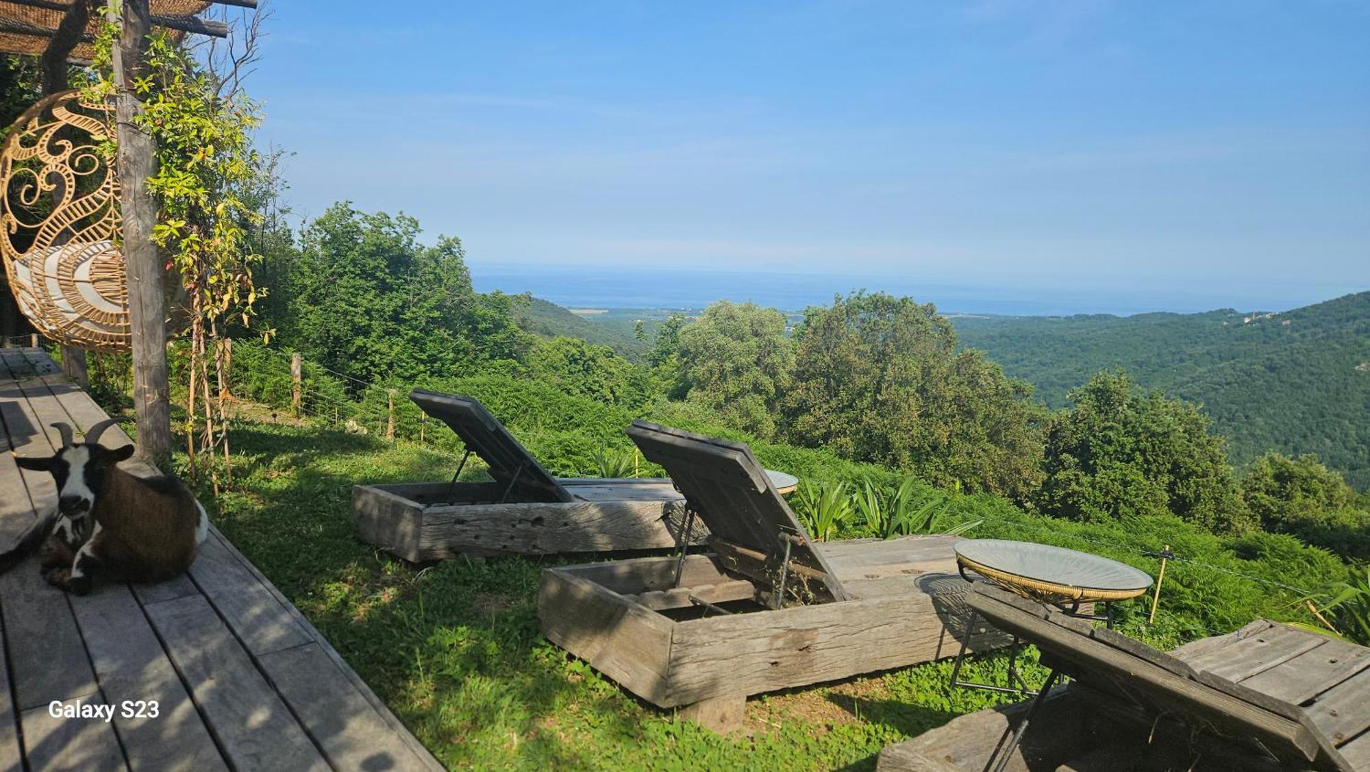 Domaine Colonna Santini ,Chambre D Hotes Piscine, Sauna, Spa Porri ภายนอก รูปภาพ